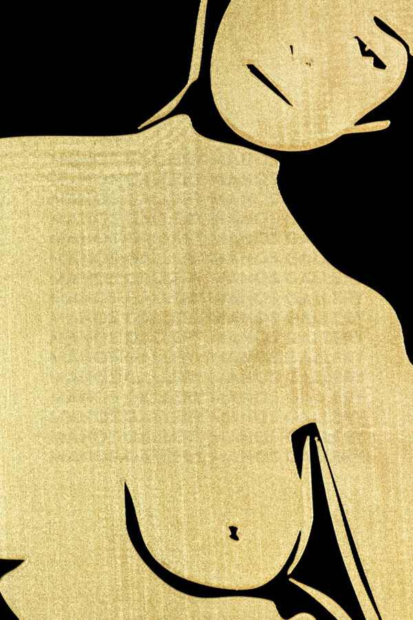 The Silence of Desire - Image 4