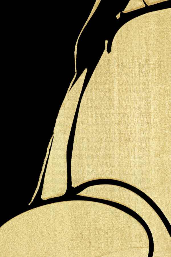 The Back of Aphrodite - Image 4